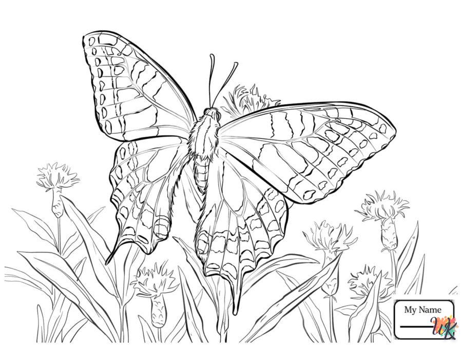 Dibujos para Colorear Mariposas 121