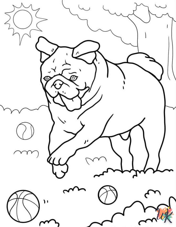 Dibujos para Colorear Pug 20