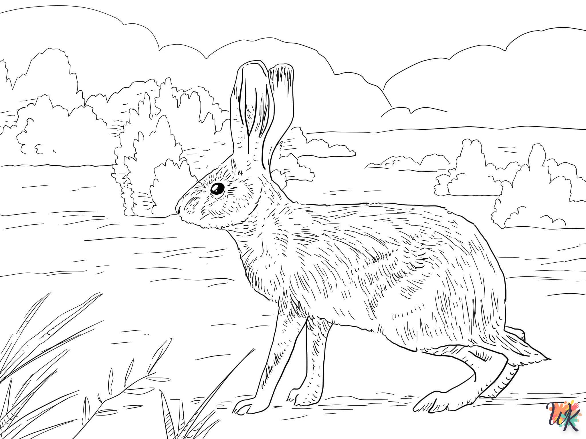 Dibujos para Colorear Conejos 45