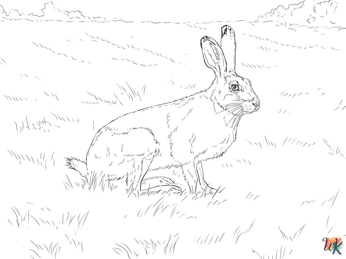 Dibujos para Colorear Conejos 50