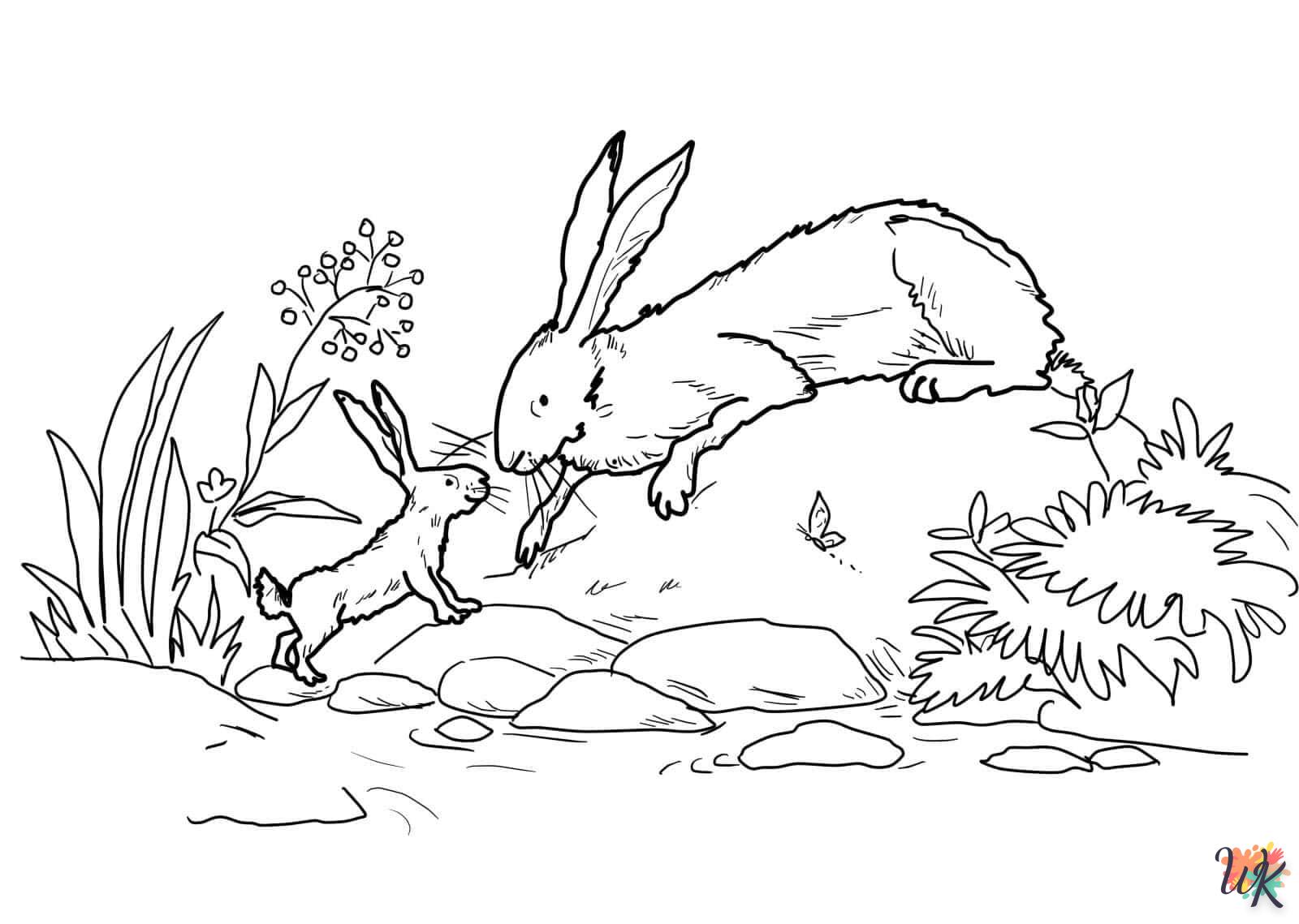Dibujos para Colorear Conejos 55